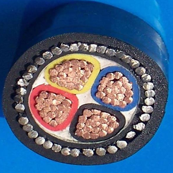 红足1世官网WDZAN-YJY63 WDZAN-YJY73